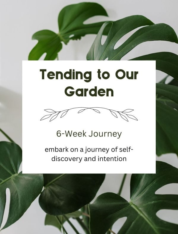 6 Week Tending To Our Garden Program